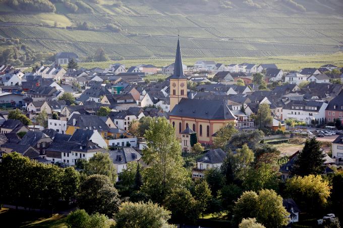 Panoramablick auf Trittenheim mit der Kirche im Mittelpunkt und Weinbergen im Hintergrund